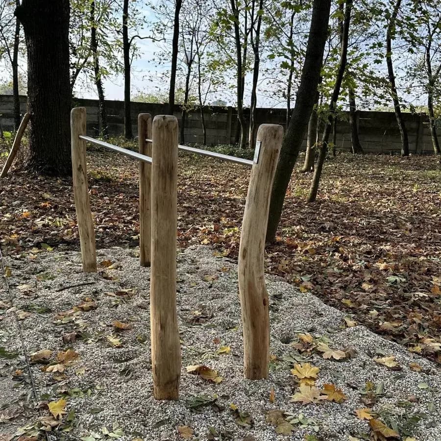 Barren Typ BR